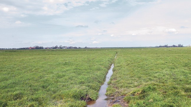 Warum blieben Suchaktionen erfolglos?