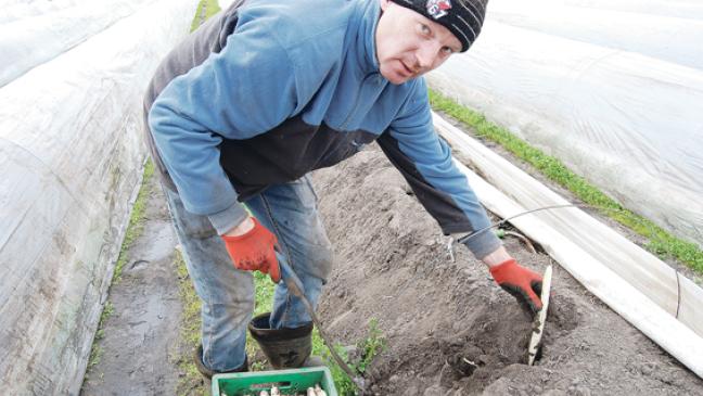 »Qualität ist hervorragend«