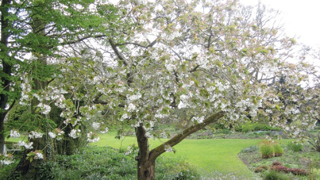 Gartenfreuden in Bunde  und Leer