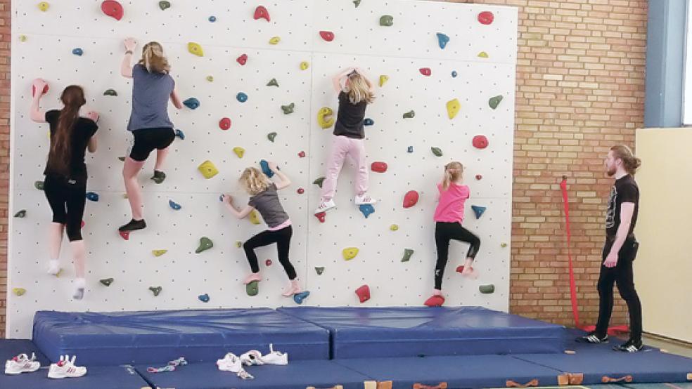 Die Kletterwand war eine der beliebtesten Stationen beim Familien-Sport-Picknick in Weener, das erstmals nach über vier Jahren wieder stattfand. © Fotos: privat