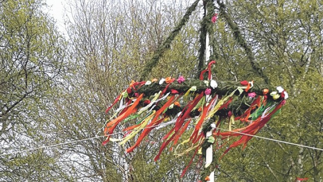 Ditzumer wollen Baum nicht