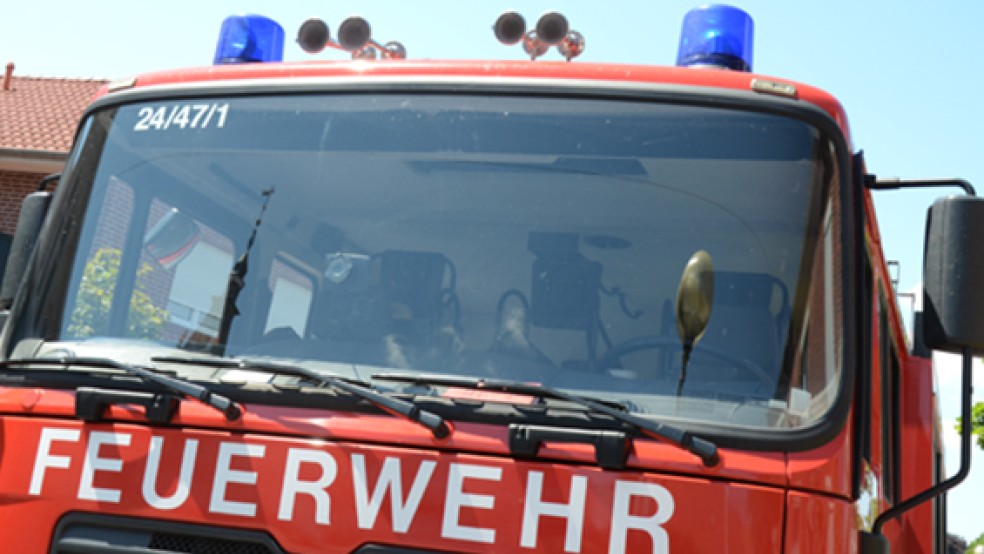 Die Feuerwehr Leer rettete bei Esklum ein Mutterschaf vor dem Ertrinken. © Foto: RZ-Archiv