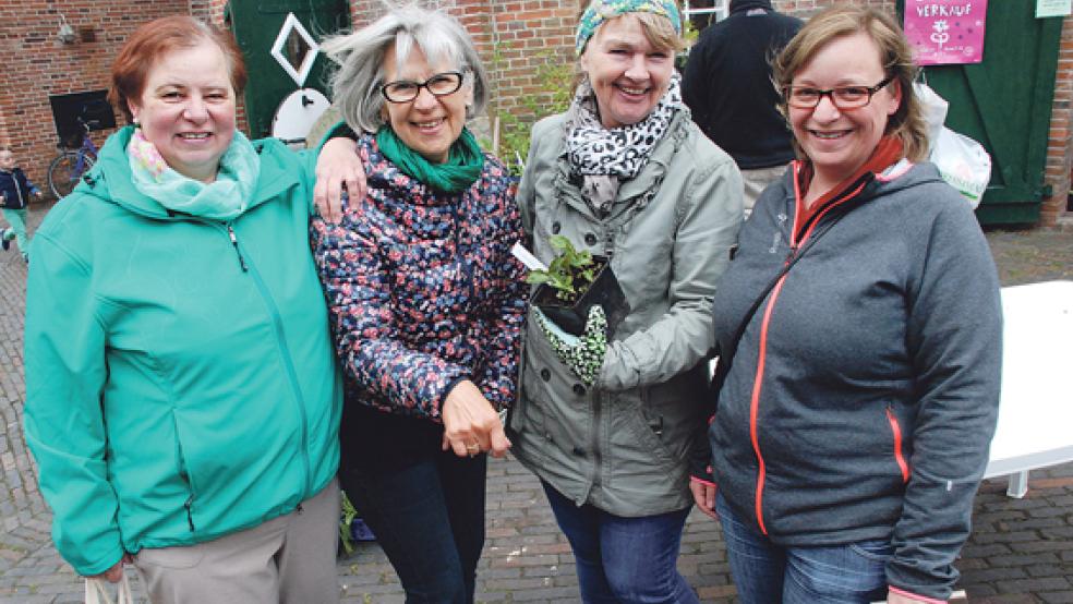 Frauke Oltmanns (links) und Sabine Oltmanns (rechts) gehörten in Ditzum zu den Kundinnen und ließen sich von Felicitas Sobeck und Carola Bruhns (mit einer getopften Krötenlilie) über die Eigenarten der etwa 150 angebotenen Stauden informieren.  © Foto: Kuper