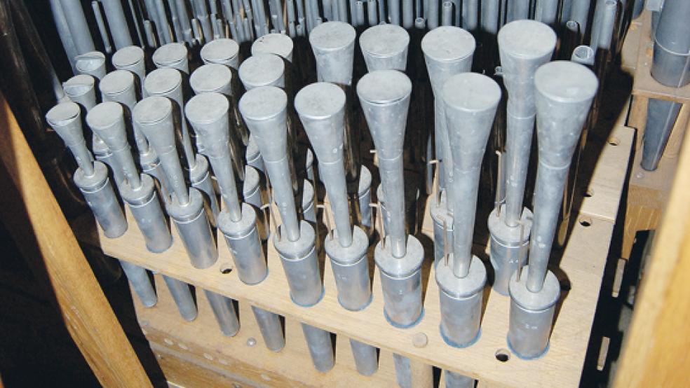 Das Innere der Orgel der Erlöserkirche muss vom Schimmel befreit werden. © Foto: Hoegen