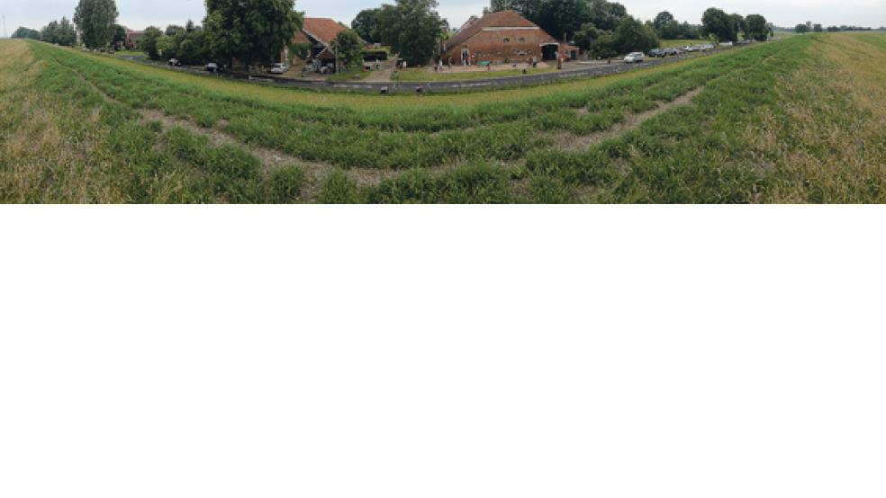 Der Gulfhof von Catharina und Hilmar Bockhacker wird am 2. und 3. Juli wieder zu kreativen Drehscheibe.  © Foto: privat