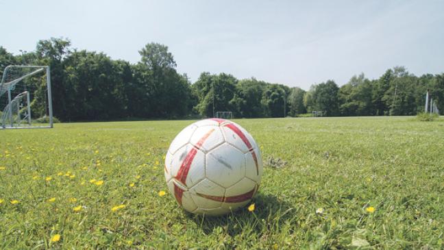 Möhlenwarf im Wartestand