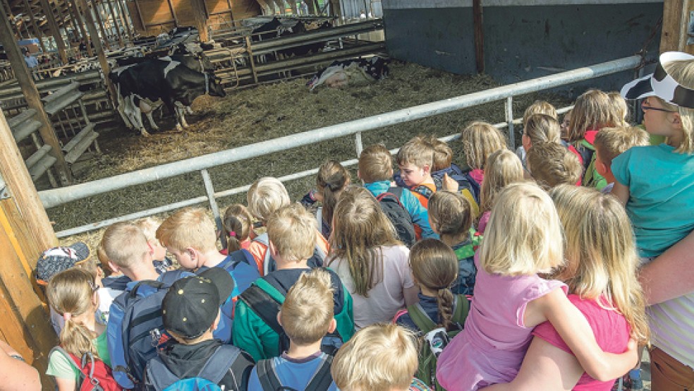 Fast 1000 Jungen und Mädchen begaben sich in Holte auf große Hof-Tour. © Foto: Klemmer