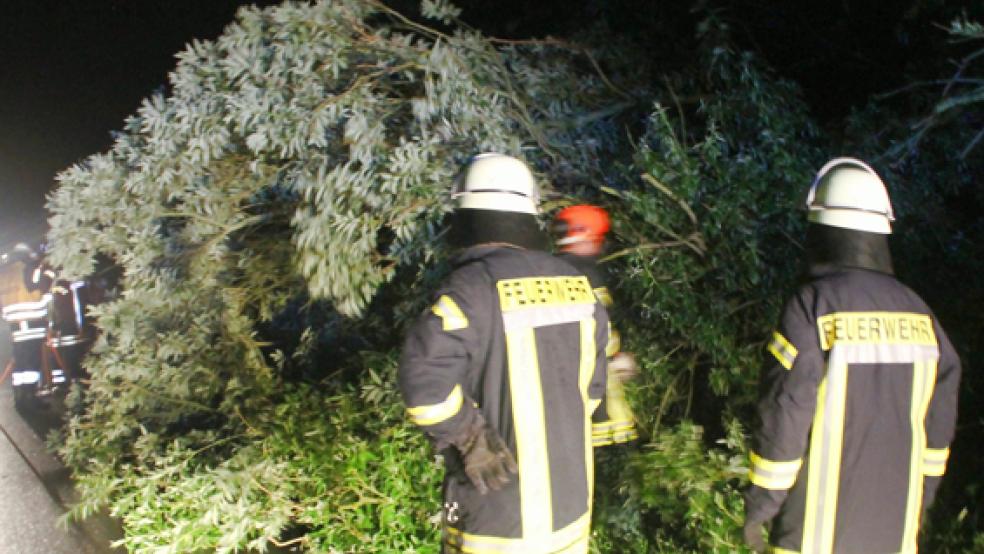 Mit Kettensägen zerlegten Einsatzkräfte der Feuerwehr Weenermoor den umgestürzten Baum. © Foto: J. Rand (Feuerwehr)
