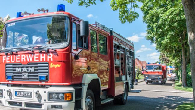 Ast droht auf Straße zu fallen