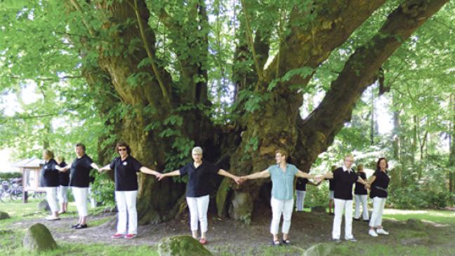 Landfrauen umarmen alte Linde