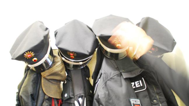 Einbrecher ergreift Flucht