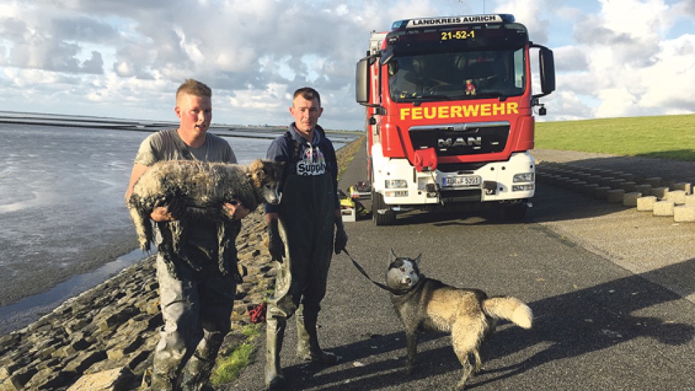 Geschafft: Nicht nur die Hunde freuten sich, am Ende wieder festen Boden unter den Füßen zu haben.  © Foto: Feuerwehr