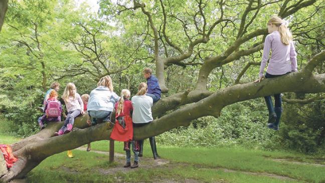 Kinder erforschen die Natur