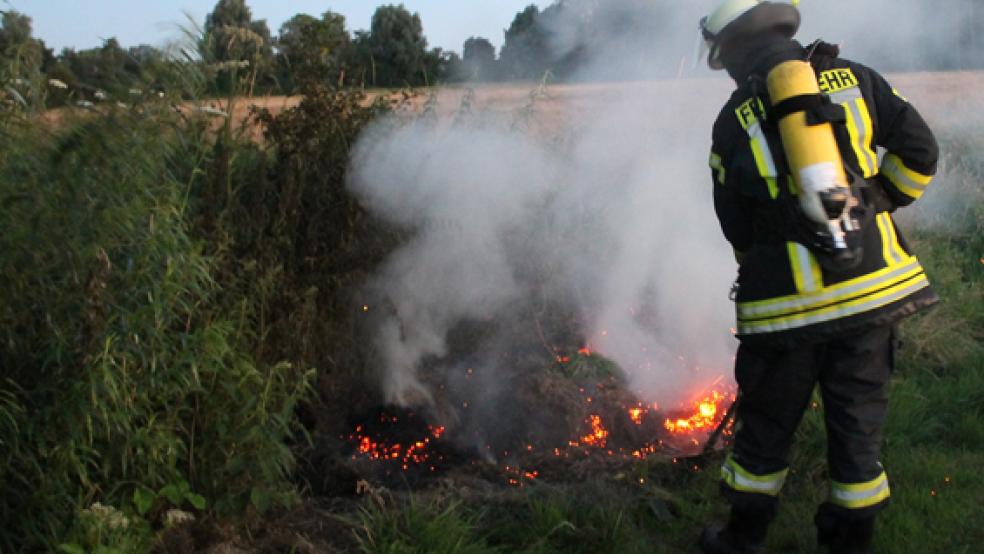 Die Brandbekämpfer konnten das Feuer hinter der Oberschule in Weener schnell löschen. © Foto: Rand (Feuerwehr)