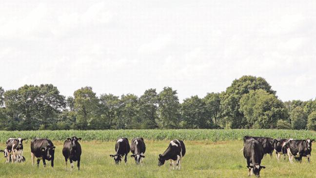 Landwirte in der Region sehen sich doppelt gestraft