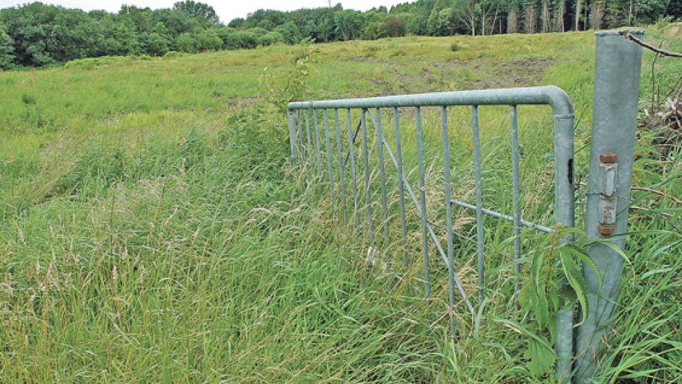 In direkter Nachbarschaft des Hesseparks werden 36 Grundstücke mit Zuschnitten zwischen 602 und 1023 Quadratmetern verkauft. © Foto: Szyska