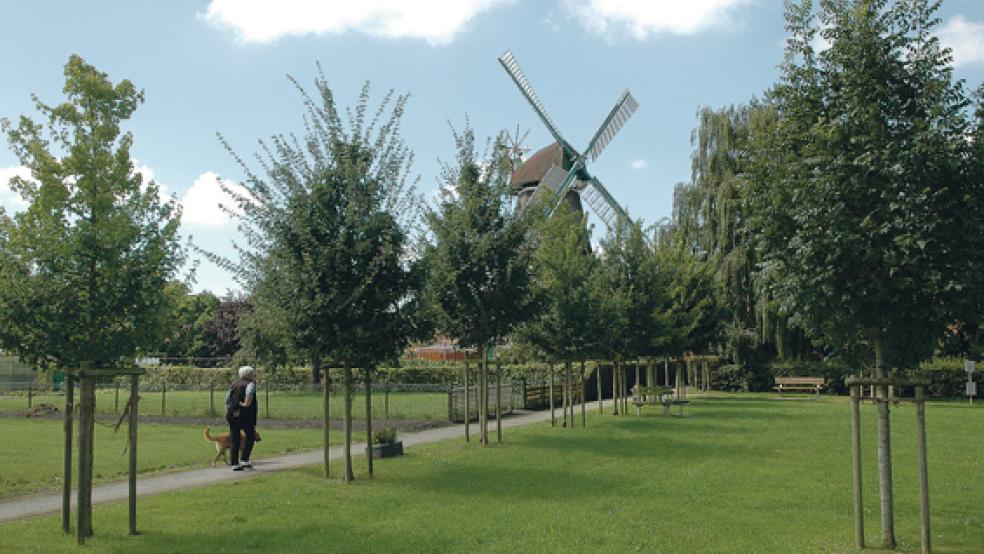 Der Wierde-Park soll durch eine Brücke mit dem neuen Parkplatz verbunden werden. © Foto: Szyska
