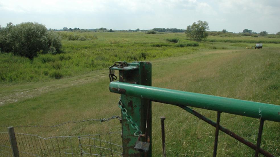 Die Bodenverhältnisse im Ems-Altarm in Vellage bereiten den Tidepolder-Planern große Probleme. © Foto: Szyska