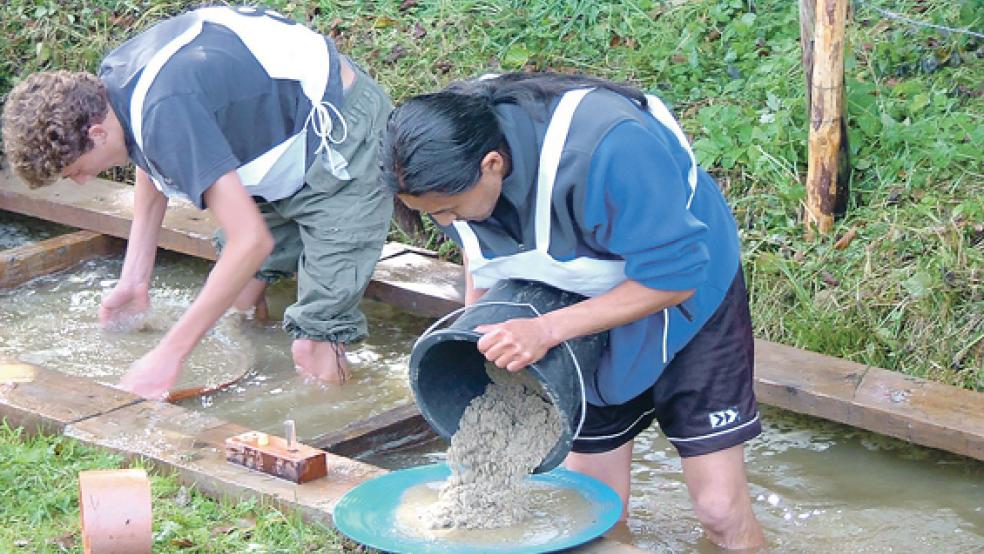 Beim Goldwaschen als Sport geht es darum, das in Eimern versteckte Edelmetall so schnell wie möglich heraus zu waschen. © Foto: privat