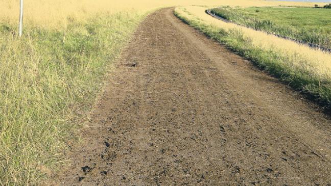 »Gleichgültigkeit in Sachen Sauberkeit«