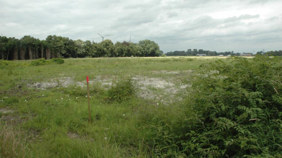 Bei der Ausweisung von Wohnbaugebieten - wie hier am Hessepark in Weener - soll nach dem Willen der Grünen auf die Naturverträglichkeit geachtet werden. © Foto: Szyska