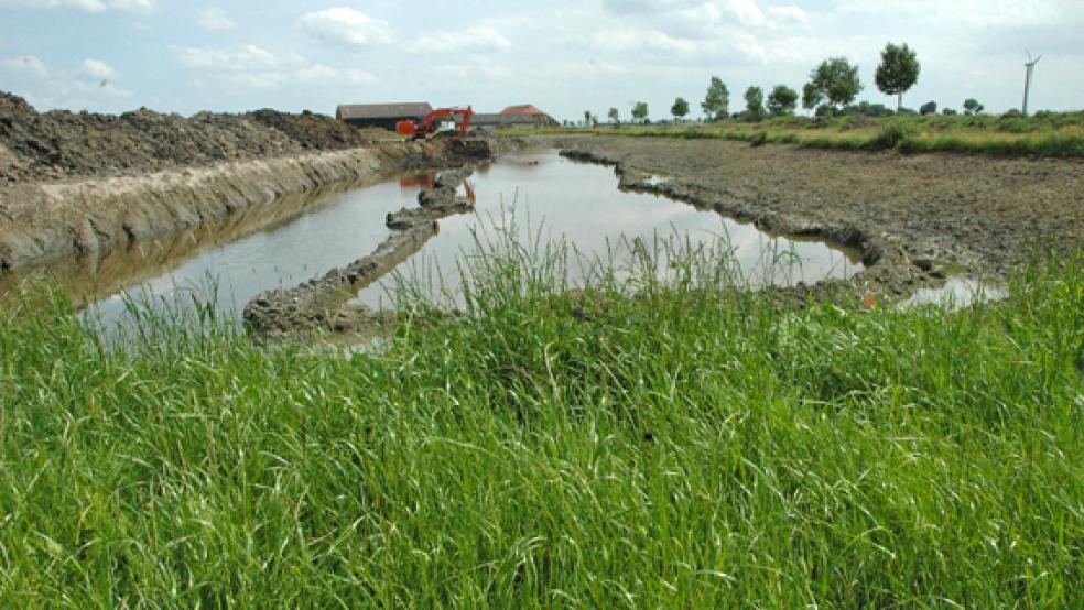 Bei Baggerarbeiten für den Landschaftssee in Ditzum wurden erneut Flak-Granaten gefunden. © Foto: Szyska