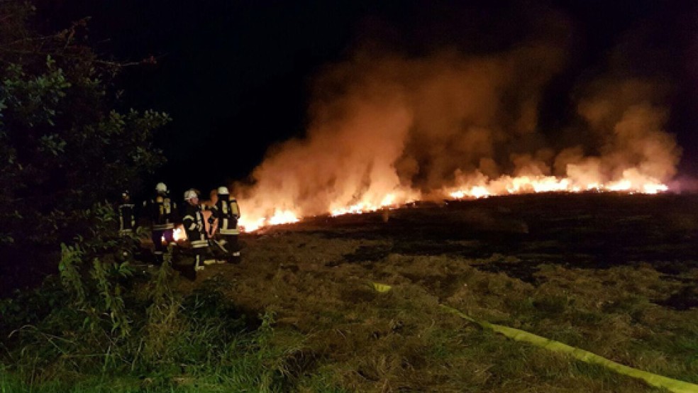 Einen Flächenbrand in Großwolde musste die Feuerwehr am Dienstagabend löschen. © Foto: Feuerwehr