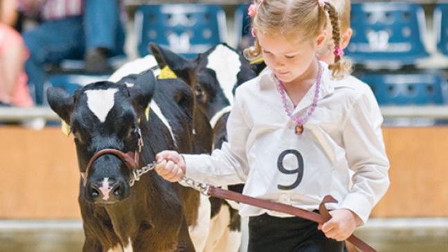 In Harmonie mit Vieh