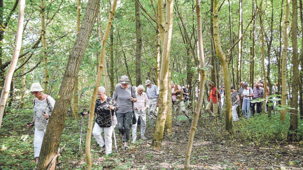 Die Tagesexkursion »Gärten in der Marsch« führte die Teilnehmer auch durch ein Waldstück in der Nähe vom Gulfhof Tammen in Bunderhee. © Fotos: Ostfriesische Landschaft 