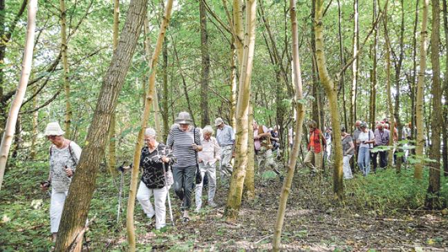 Auf Entdeckungsreise im Rheiderland