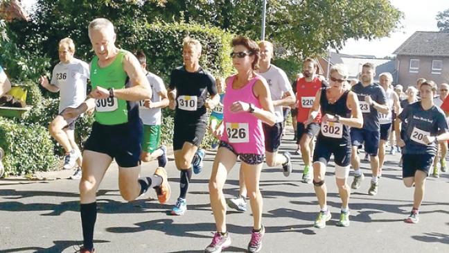 Rheiderländer schnell in Rhede