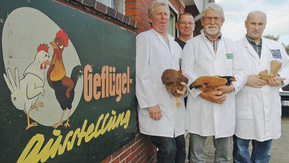 Die Preisrichter (von links) Stefan Kruse aus Dinklage, Dieter Becker aus Norden (Anwärter), Theo Suntken aus Esens und Norbert Lager aus Quakenbrück bewerteten gestern in der Kleintierhalle in Weener das ausgestellte Geflügel. © Foto: Szyska