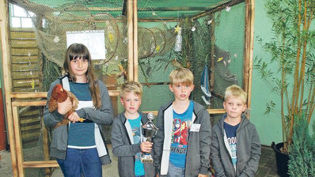 Amrocks, Lakenfelder und Wyandotten