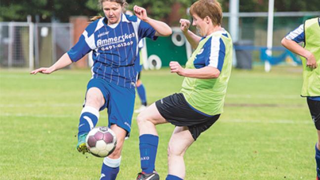 Zurück in der Erfolgsspur