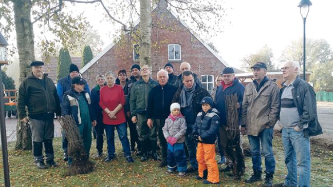 Fleißige Helfer pflanzen Hecke