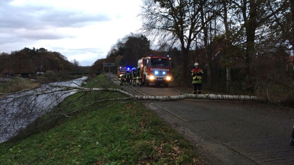 Die Feuerwehr war auch in Remels im Einsatz. Ein Baum war umgefallen. © Foto: Kreisfeuerwehr