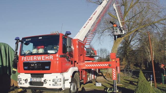 Motorsägen-Kurs für den Ernstfall