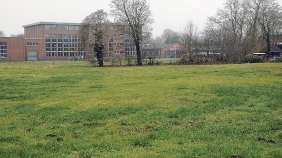 Auf dieser Weide zwischen dem Firmengelände am Marker Weg (im Hintergrund) und der Bahnlinie in Weener will die Wildeboer Bauteile GmbH unter anderem neue Lagermöglichkeiten schaffen. © Foto: Szyska