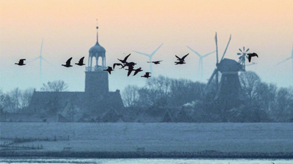 Nonnengänse im morgendlichen Flug über die Ems bei Ditzum. © Foto: Eilert Voß