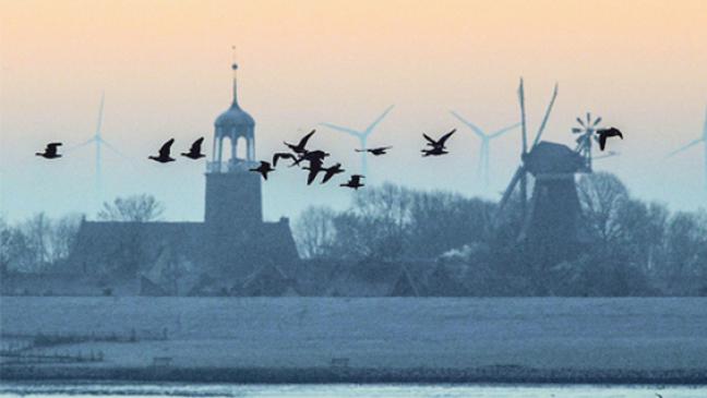 Alle an einem Tisch beim »Gänse-Gipfel«