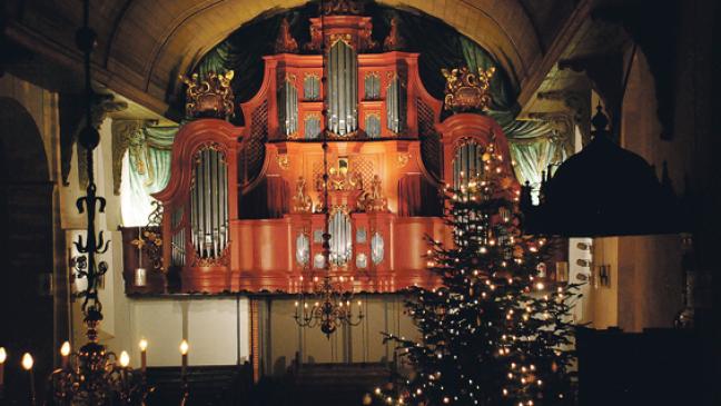 Organeum begrüßt das neue Jahr