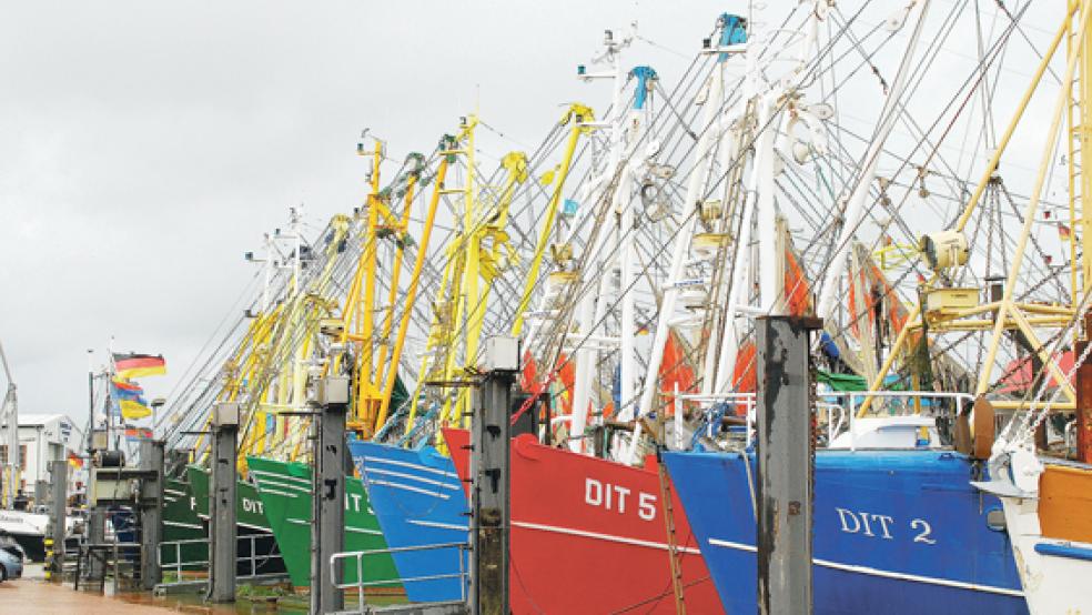Die Ditzumer Krabbenfischer sollen frisches Wasser zukünftig direkt aus vier Zapfstellen an den Dalben bekommen können. Geplant ist zu diesem Zweck die Verlegung einer rund 60 Meter langen Wasserleitung. © Archivfoto: Hanken