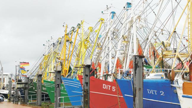 Frischwasser für Fischer