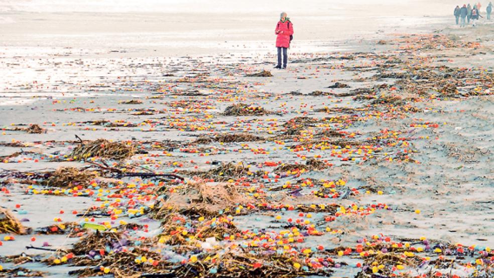 Der Langeooger Hauptstrand war gestern übersät von Überraschungseiern. Ein Containerschiff hatte die noch nicht mit Schokolade ummantelten Plastikeier in aufgewühlter See verloren. Schnell waren zahlreiche Sammler unterwegs. © Foto: Klaus Kremer