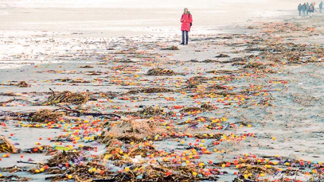 »Axel« schwemmt Tausende Ü-Eier an