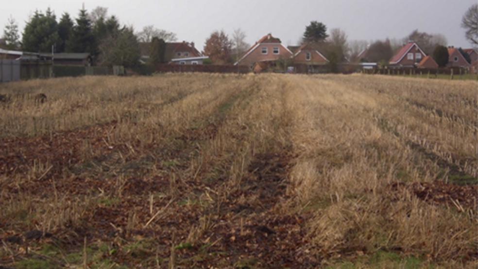 Auf diesem Gelände hinter dem Feuerwehrhaus in Stapelmoor könnten etwa 22 Baugrundstücke entstehen. © Foto: privat