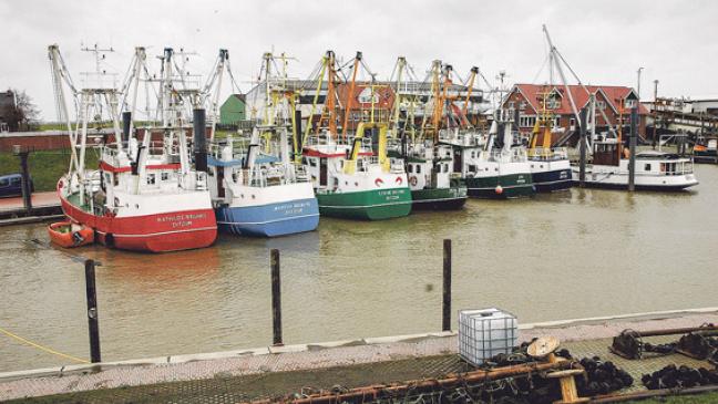 Sorge vor »Greetsieler Verhältnissen«