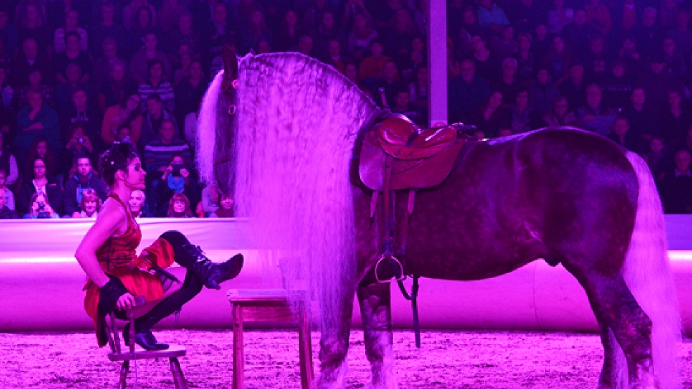 Eine große Show war der »Galaabend der Pferde« im vergangenen Jahr. Auch heute Abend werden die Zuschauer auf ihre Kosten kommen. © Foto: Gleich