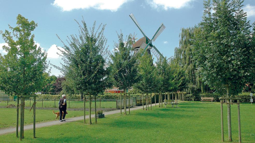 Die ehemalige Apotheke an der Oberfletmer Straße in Jemgum soll abgerissen werden, um einen Parkplatz anzulegen und mit einer Brücke eine Verbindung zum Wierde-Park (Bild) zu schaffen. Dagegen regt sich Widerstand. © Archivfotos: Szyska