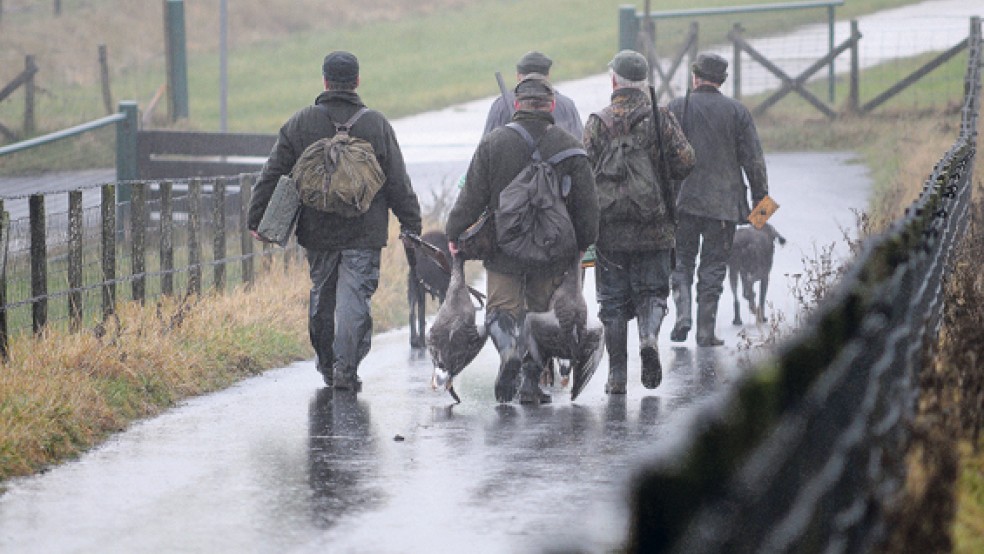 Die Jagd auf Graugänse ist in Niedersachsen zeitlich und räumlich begrenzt zugelassen. Für Nonnengänse gilt das bislang nicht. Dass der CDU-Kreisvorstand eine Jagdfreigabe fordert, stößt auf Widerspruch des Naturschutzbundes,  © Archivfoto: Eilert Voß